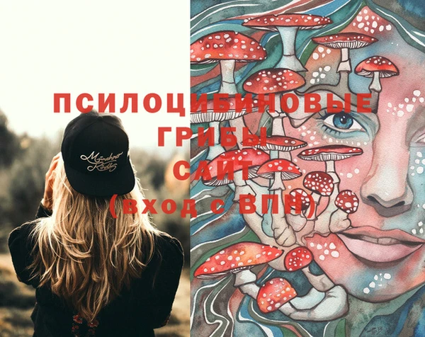 MDMA Вяземский