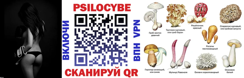 mega сайт  где можно купить   Ефремов  Галлюциногенные грибы мухоморы 
