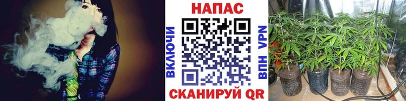 продажа наркотиков  Ефремов  Канабис AK-47 